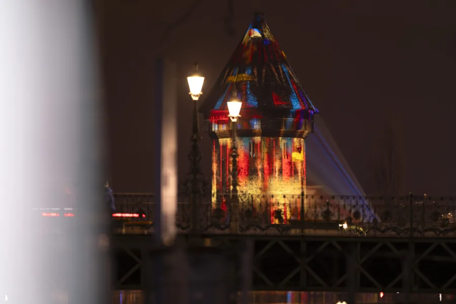 LB Lilu24 DSC00004 scaled Laila Bosco