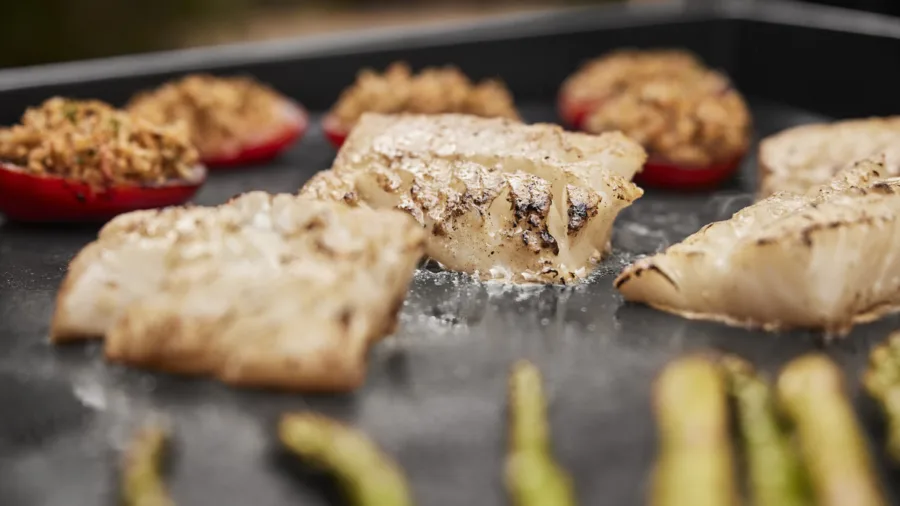 SLATE GP 56 cm Premium Plancha