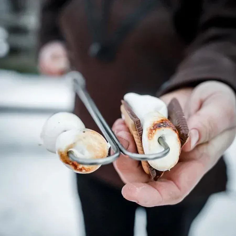 Lagerfeuerspiess 2 Stk.