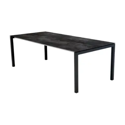 HERGISWIL Fix Tisch 220x100 cm Inox anthrazit Beine 50x50cm